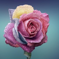 Репетитор - Олександра 2. id:145560 Репетитор - Олександра 2. id:145560