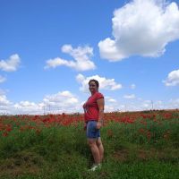 Репетитор - Світлана К. id:133525