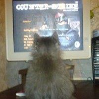 Репетитор - 2_English4 Q. id:145109