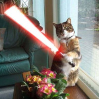 Репетитор - sync тест s. id:145130